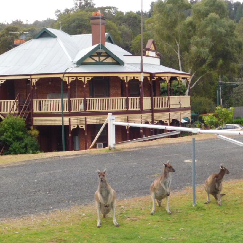 kangas